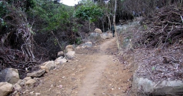 Đà Nẵng: Cách chức 2 lãnh đạo Hạt kiểm lâm vì để phá rừng