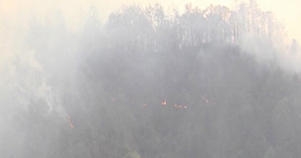 Hàng nghìn người tham gia chữa cháy tại Sơn La và Yên Bái