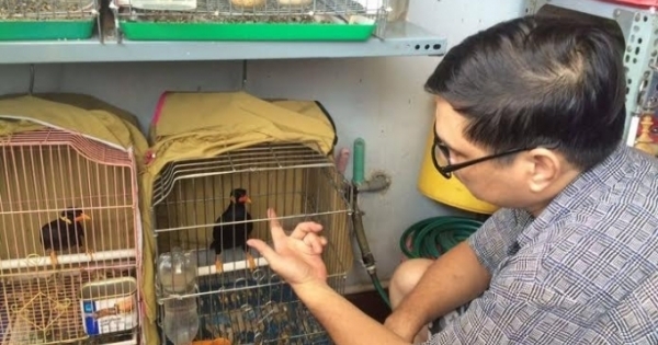 Đại gia chi tiền “khủng” không mua được chú chim biết niệm Phật