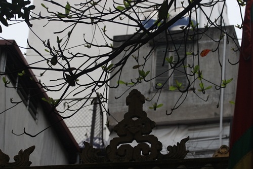 Xưa ng&ocirc;i đ&igrave;nh được x&acirc;y dựng bằng tre nứa, về sau n&agrave;y đ&igrave;nh đ&atilde; được những người con của nghề l&agrave;m giầy da x&acirc;y cất khang trang hơn.   (Ảnh: Hữu Thắng).