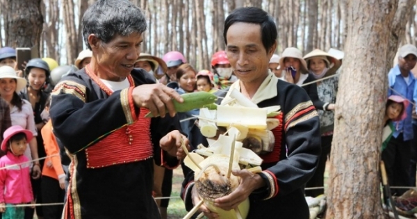 "Tây Nguyên đại ngàn” giữa lòng Hà Nội