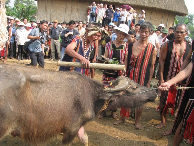 &nbsp;Du kh&aacute;ch sẽ c&oacute; cơ hội đắm m&igrave;nh v&agrave;o kh&ocirc;ng kh&iacute; lễ hội văn h&oacute;a v&agrave; trải nghiệm một kh&ocirc;ng gian T&acirc;y Nguy&ecirc;n đại ng&agrave;n hũng vĩ ngay giữa l&ograve;ng H&agrave; Nội.&nbsp;