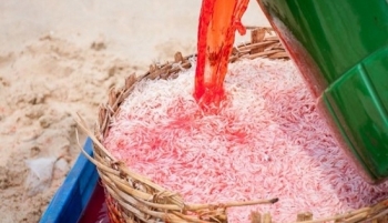 Bộ Y tế vào cuộc vụ sử dụng hoá chất nhuộm ruốc ở Phú Yên