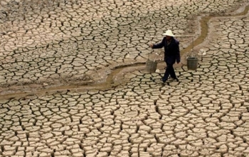 Vẫn là sự vô cảm