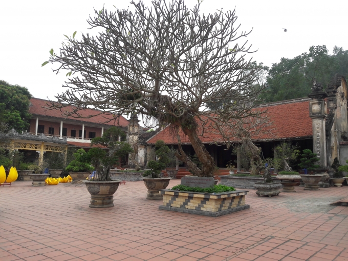 Ch&ugrave;a Hồng Ph&uacute;c - nơi cung nghinh Phật Ngọc v&igrave; H&ograve;a b&igrave;nh thế giới.