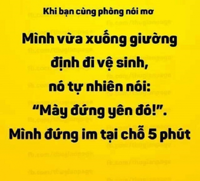 Nhiều c&acirc;u n&oacute;i mơ l&agrave;m cho bạn c&ugrave;ng ph&ograve;ng kh&aacute;c tưởng n&oacute;i thật. &nbsp;(Nguồn:Facebook).