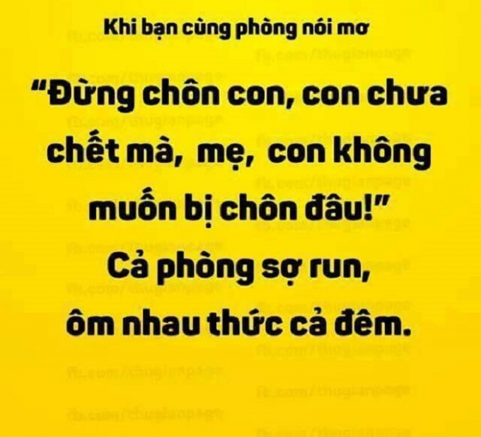 C&acirc;u n&oacute;i mơ của bạn c&ugrave;ng ph&ograve;ng l&agrave;m cả ph&ograve;ng