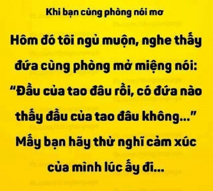 C&acirc;u n&oacute;i mơ của bạn c&ugrave;ng ph&ograve;ng c&ograve;n l&agrave;m cảm x&uacute;c c&aacute;c bạn kh&aacute;c hoảng loạn.&nbsp;(Nguồn:Facebook).