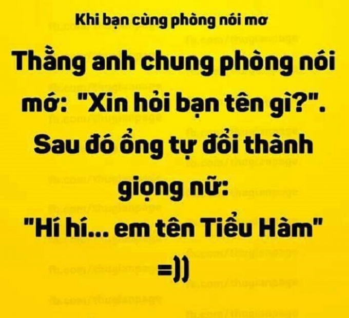 C&oacute; những c&acirc;u n&oacute;i mơ tạo tiếng cười sảng kho&aacute;i cho mọi người. (Nguồn:Facebook).