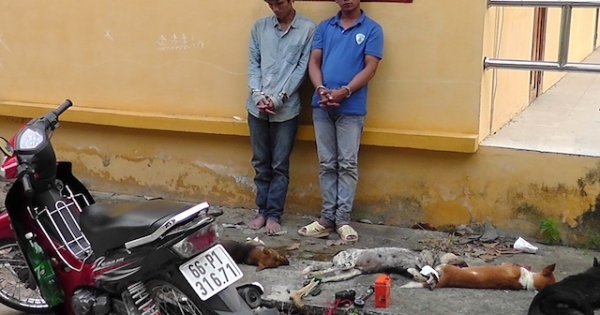 Đồng Tháp: Tóm gọn 2 “cẩu tặc” từng kiếm bạc triệu mỗi ngày