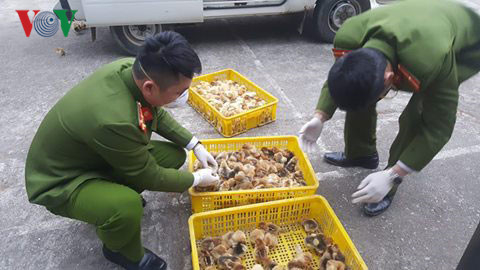 Lực lượng chức năng thu giữ tang vật tại hiện trường.&nbsp;