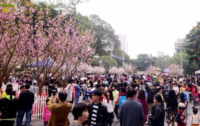 Đ&ocirc;ng&nbsp;đảo người d&acirc;n tham gia Lễ hội Hoa anh&nbsp;đ&agrave;o tại Vườn hoa L&yacute; Th&aacute;i Tổ năm 2016. (Ảnh: Zing.vn)