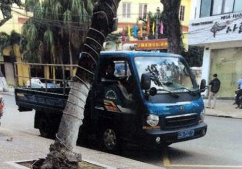 Xe biển xanh của UBND phường Thanh Kh&ecirc; Đ&ocirc;ng đậu lấn vạch dừng xe bu&yacute;t đ&atilde; bị người d&acirc;n ghi h&igrave;nh, phản &aacute;nh l&ecirc;n trang Facebook của CSGT.