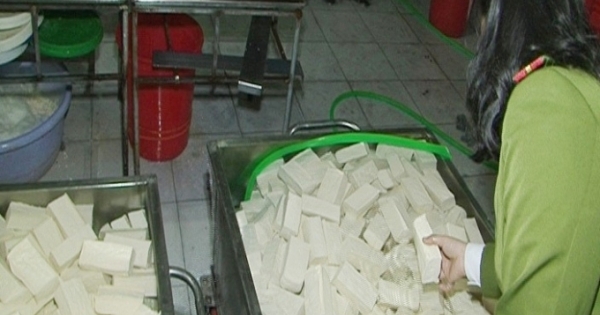 Thừa Thiên - Huế: Phát hiện 2 cơ sở sản xuất khuôn đậu sử dụng thạch cao