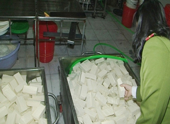 Số lượng khu&ocirc;n đậu d&ugrave;ng thạch cao để tẩm v&agrave;o ở cơ sở bị ph&aacute;t hiện.