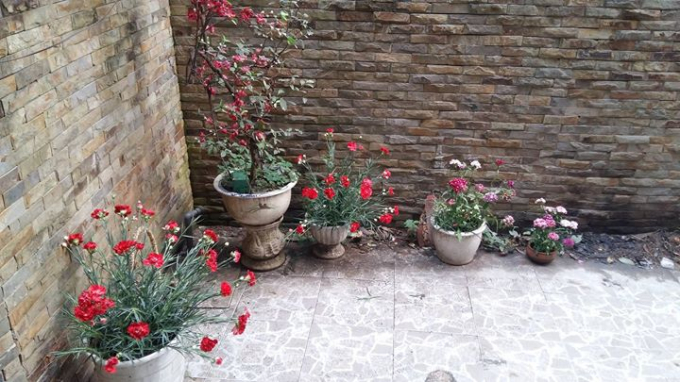 Nh&agrave; c&oacute; s&acirc;n v&agrave; cổng rộng r&atilde;i, trang tr&iacute; đẹp v&agrave; sang trọng.