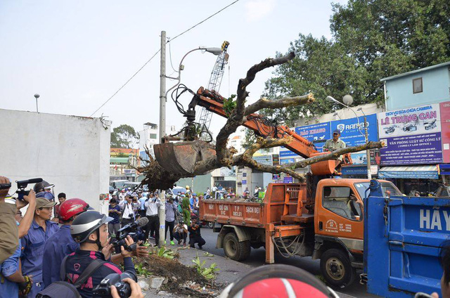 Bứng c&acirc;y trước văn ph&ograve;ng ph&iacute;a nam - Bộ C&ocirc;ng Thương.