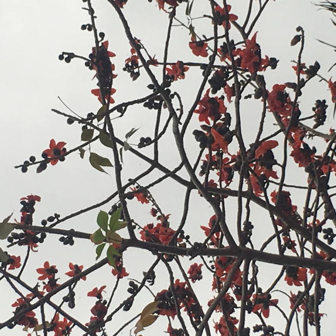 &nbsp;Ảnh: Thị Thủy