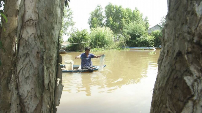 Hằng ng&agrave;y anh đi giăng lưới để kiếm từng con c&aacute;, con t&ocirc;m lo ăn ng&agrave;y hai bữa cho cả nh&agrave;.