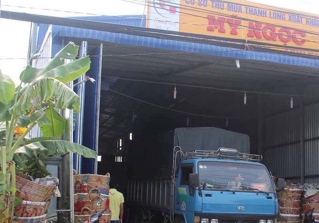 Cơ sở thu mua thanh long, nơi xảy ra vụ cướp. (Ảnh: Zing.vn)