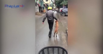 Cộng đồng mạng dậy sóng với người đàn ông hành hạ chó trên đường