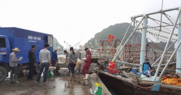 Quảng Ninh: Bắt 6 đối tượng trấn lột của tiểu thương