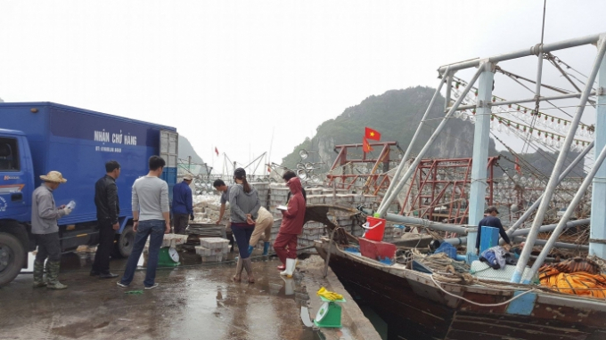 Hoạt động mua b&aacute;n hải sản&nbsp;diễn ra tấp nập&nbsp;tại cảng C&aacute;i Rồng. (Ảnh: b&aacute;o Giao th&ocirc;ng)&nbsp;