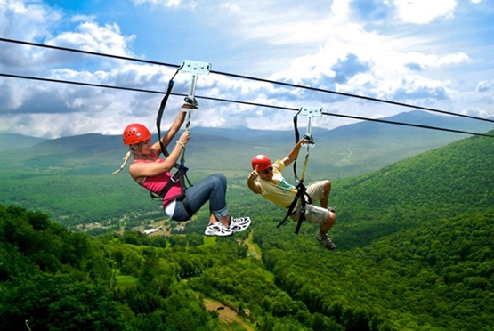 Ảnh minh họa nguồn internet.