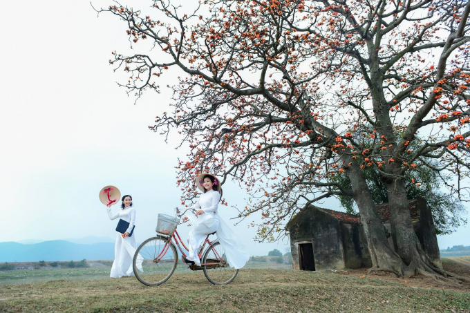 Khi c&aacute;i r&eacute;t n&agrave;ng B&acirc;n sắp đến l&agrave;m t&ecirc; t&aacute;i l&ograve;ng người c&ugrave;ng những đợt mưa bụi giăng trắng trời qua đi cũng l&agrave; l&uacute;c những ch&ugrave;m hoa gạo bung nở, đỏ rực như những đ&oacute;m lửa khổng lồ nơi l&agrave;ng qu&ecirc; Việt.