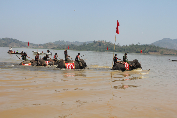 Đua thuyền độc mộc.