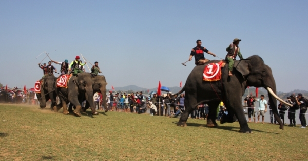 Độc đáo Lễ hội đua Voi và Thuyền độc mộc Tây Nguyên