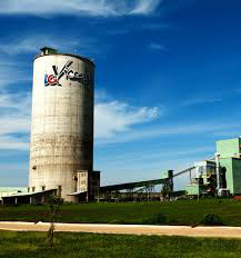 Báo cáo Thủ tướng việc 