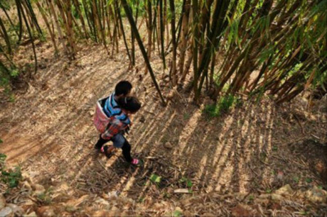 4 c&acirc;u chuyện rung động t&acirc;m can về sự hy sinh của cha mẹ