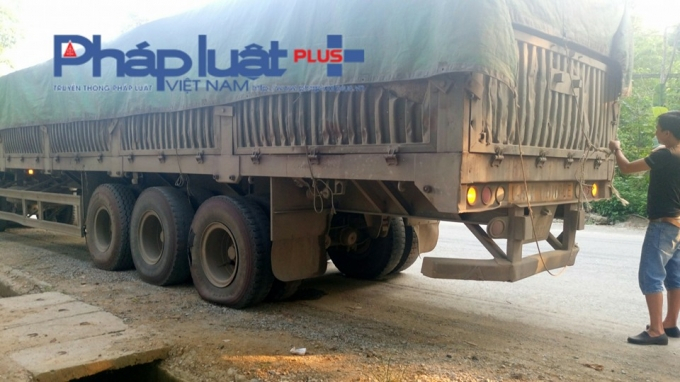 H&igrave;nh minh họa.