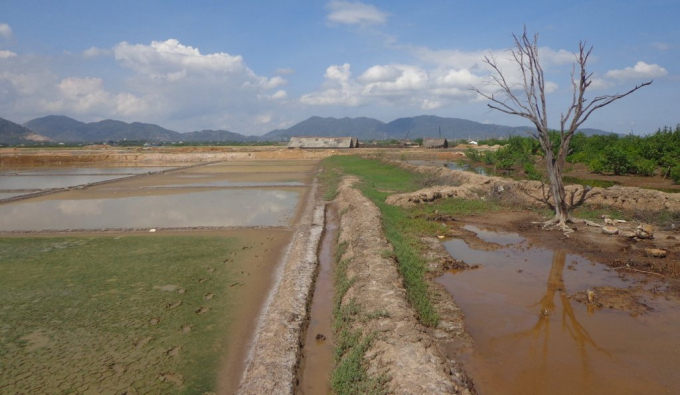 Ruộng muối người d&acirc;n canh t&aacute;c.