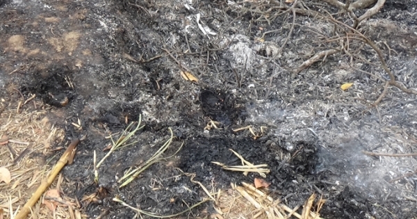 Đắk Lắk: Đốt rác bị trượt chân ngã xuống hố, cụ bà tử vong tại chỗ