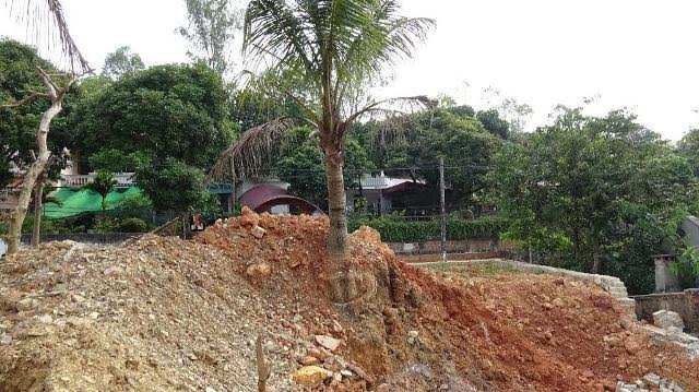 Hiện trường vụ cưỡng chế kh&ocirc;ng đ&uacute;ng luật khiến Chủ tịch UBND phường Đ&ocirc;ng Sơn phải bồi thường thiệt hại cho người d&acirc;n.