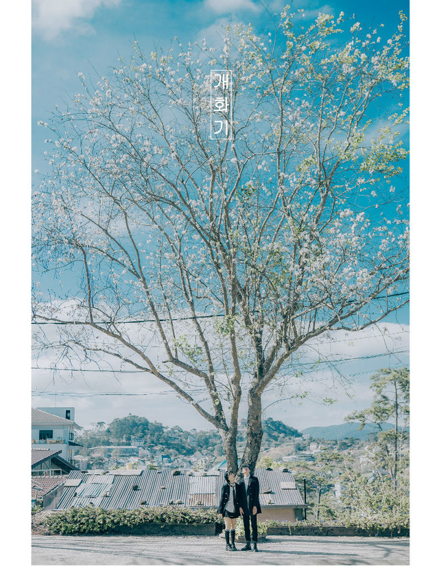 Ngỡ ng&agrave;ng bộ ảnh tại Đ&agrave; Lạt l&atilde;ng mạn tựa phim H&agrave;n