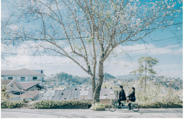 Ngỡ ng&agrave;ng bộ ảnh tại Đ&agrave; Lạt l&atilde;ng mạn tựa phim H&agrave;n