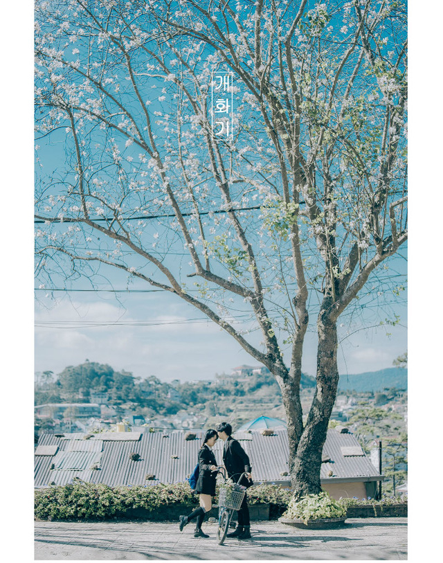 Ngỡ ng&agrave;ng bộ ảnh tại Đ&agrave; Lạt l&atilde;ng mạn tựa phim H&agrave;n