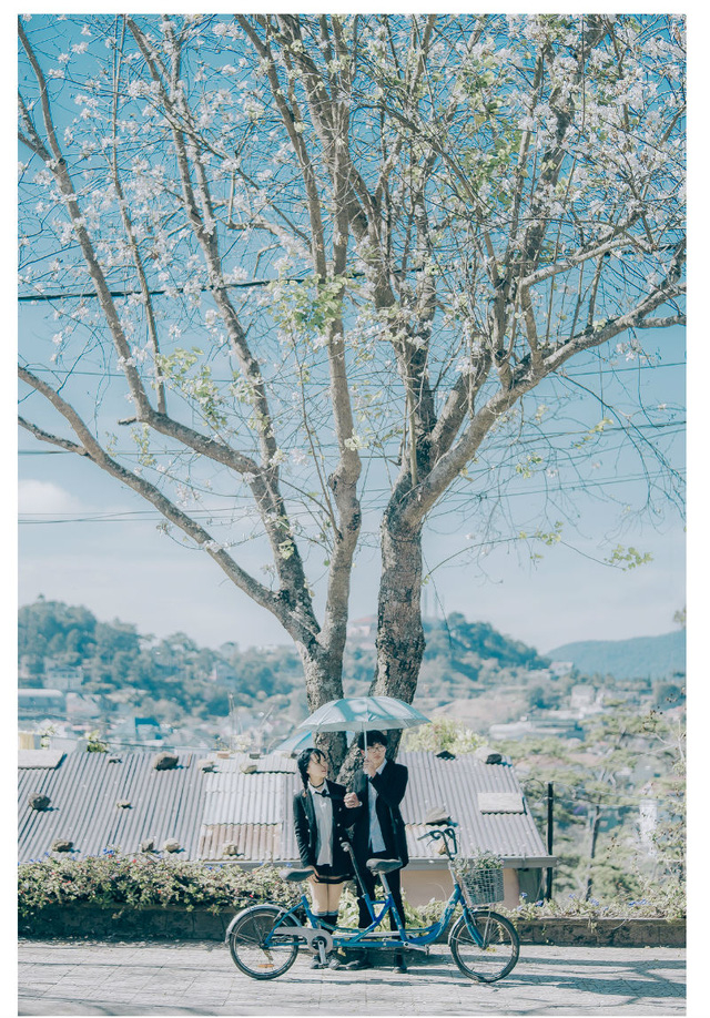 Ngỡ ng&agrave;ng bộ ảnh tại Đ&agrave; Lạt l&atilde;ng mạn tựa phim H&agrave;n