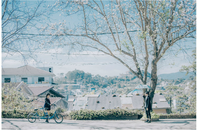 Ngỡ ng&agrave;ng bộ ảnh tại Đ&agrave; Lạt l&atilde;ng mạn tựa phim H&agrave;n