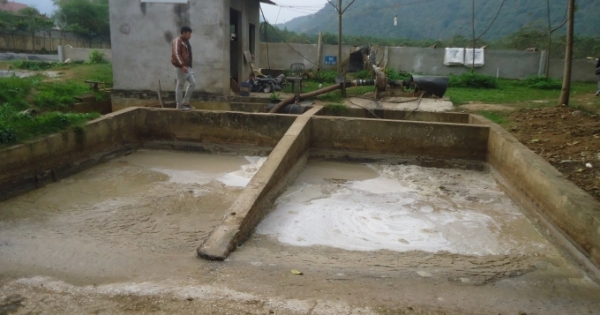 Xử phạt 50 triệu đồng nhà máy chế biến tinh bột sắn làm ô nhiễm môi trường