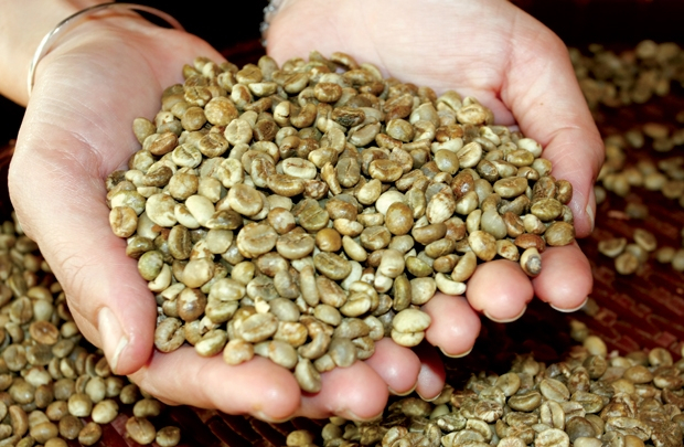 Ấn Độ ngưng nhập h&agrave;ng loạt n&ocirc;ng sản Việt, Bộ C&ocirc;ng Thương gửi c&ocirc;ng h&agrave;m phản đối.