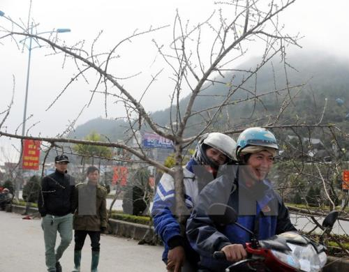 Bắc Bộ c&oacute; mưa gi&ocirc;ng v&agrave;o đ&ecirc;m v&agrave; s&aacute;ng sớm. Ảnh: minh họa/ Nguồn: TTXVN&nbsp;