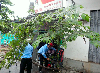 Lực lượng chức năng chặt hạ c&aacute;c c&acirc;y lấn chiếm, khai tho&aacute;ng vỉa h&egrave; chiều 21/3.