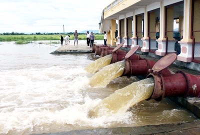 Sản xuất nông nghiệp khó khăn vì mực nước sông Hồng xuống thấp