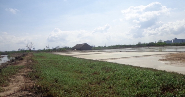 Vụ đất nông nghiệp bị “hô biến” thành đất rừng phòng hộ ở Bà Rịa - Vũng Tàu: Rừng giao khoán sau 1 năm gần như biến mất?