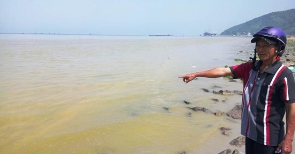 Xuất hiện dải nước màu vàng “bất thường” gần cảng biển Chân Mây