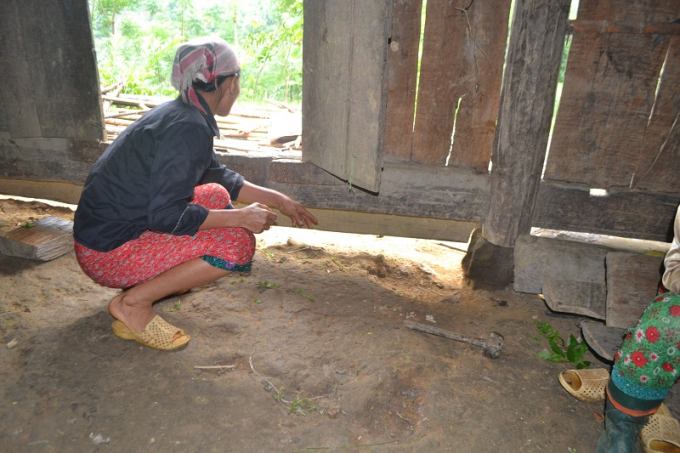 Theo b&agrave; N&aacute;i, c&oacute; thể trộm đ&atilde; lẻn theo ph&iacute;a dưới v&aacute;ch để v&agrave;o nh&agrave; trộm tranh. (Ảnh:Ph&agrave;n Gi&agrave;o Họ).